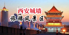 高清免费操逼网中国陕西-西安城墙旅游风景区
